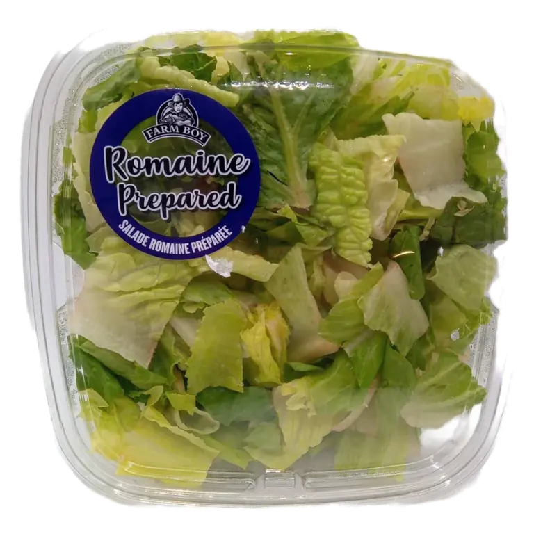 Farm Boy™ Prepared Romaine Salad (325 g)