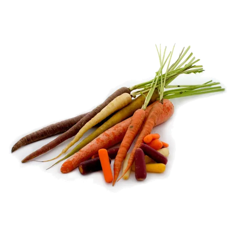 Fresh Whole Carrots