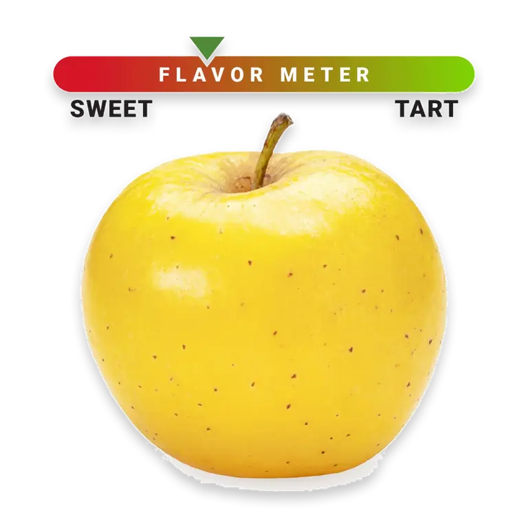 Large Opal Apple – Each