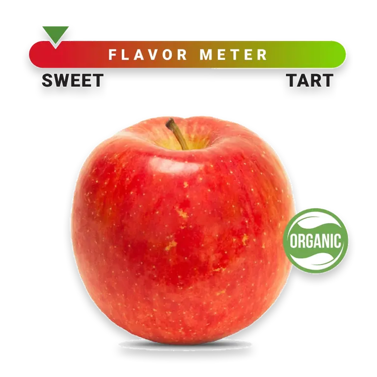 Organic Fuji Apple – Each