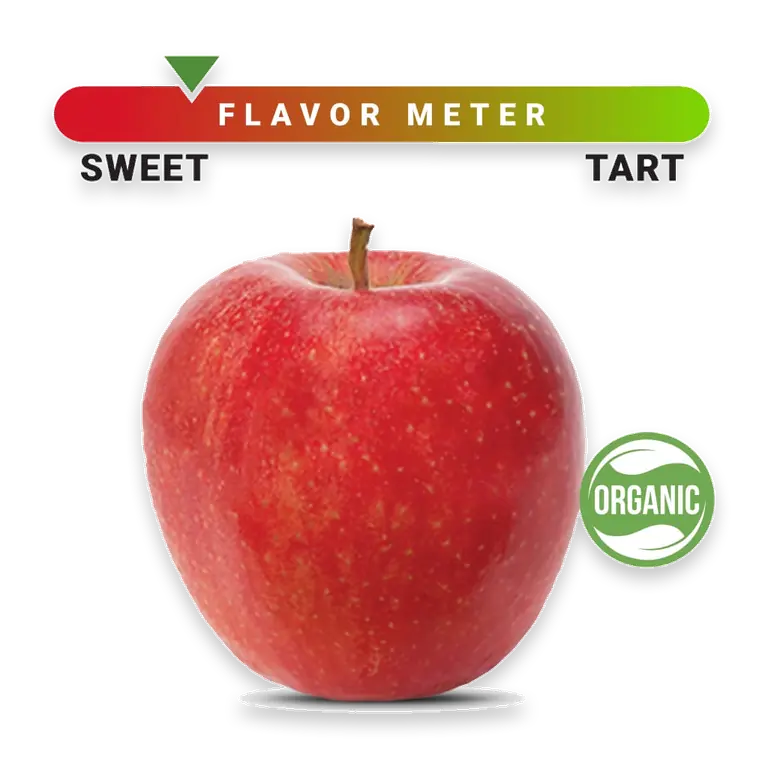 Organic Large Gala Apple – Each