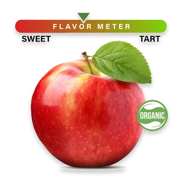 Organic Large Honeycrisp Apple - Each