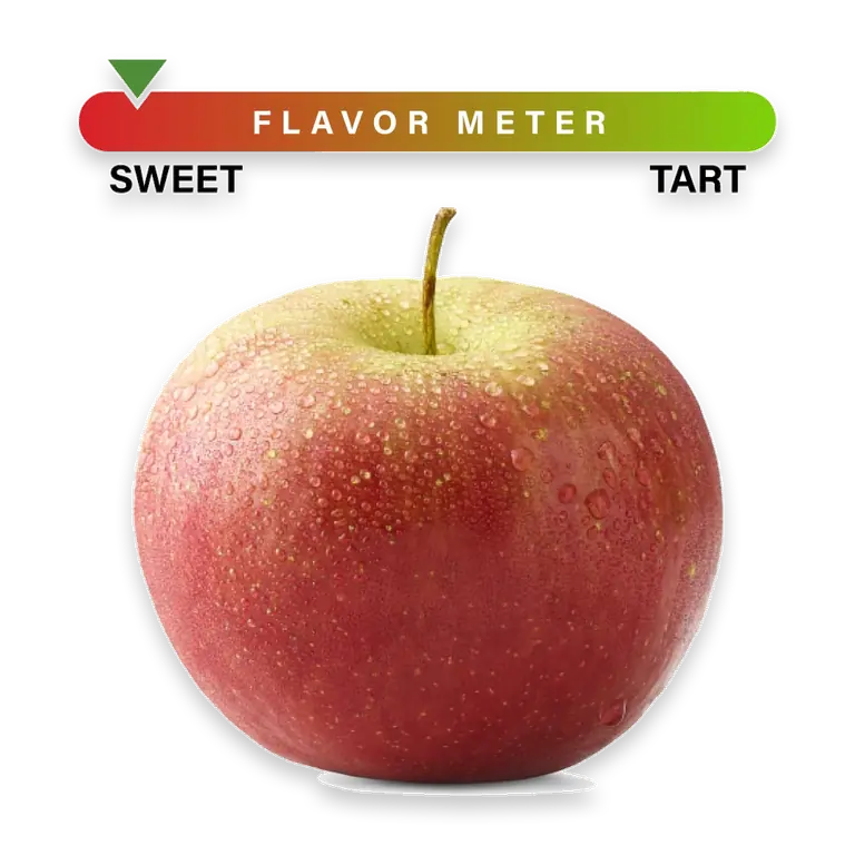 Small Fuji Apple – Each