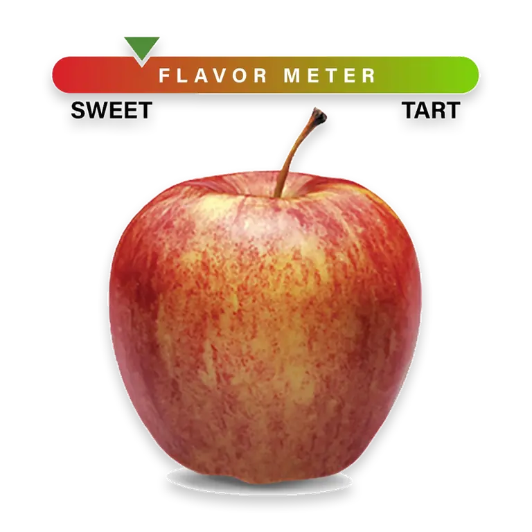 Small Gala Apple – Each