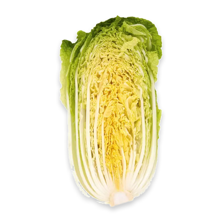 Fresh Chinese Cabbage Wombok Half
