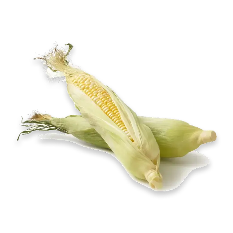 Fresh Sweet Corn on the Cob-Each