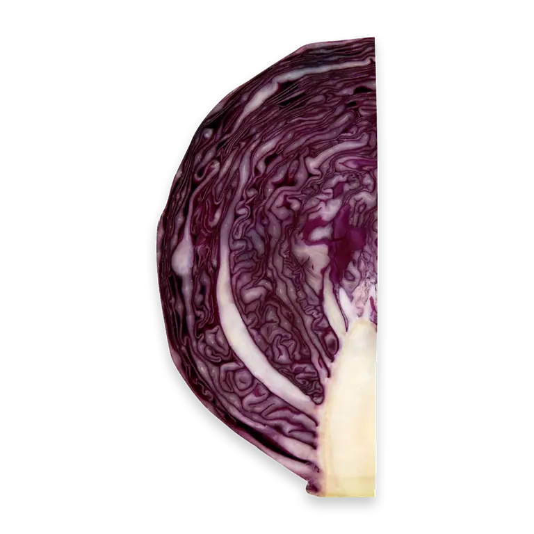 Fresh Red Cabbage Quarter