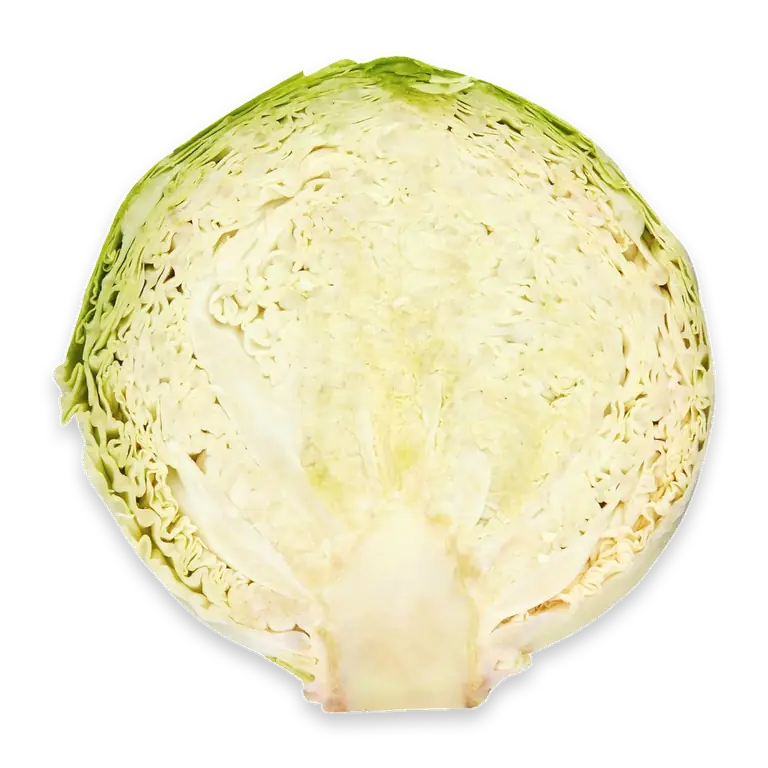 Fresh Savoy Cabbage Half