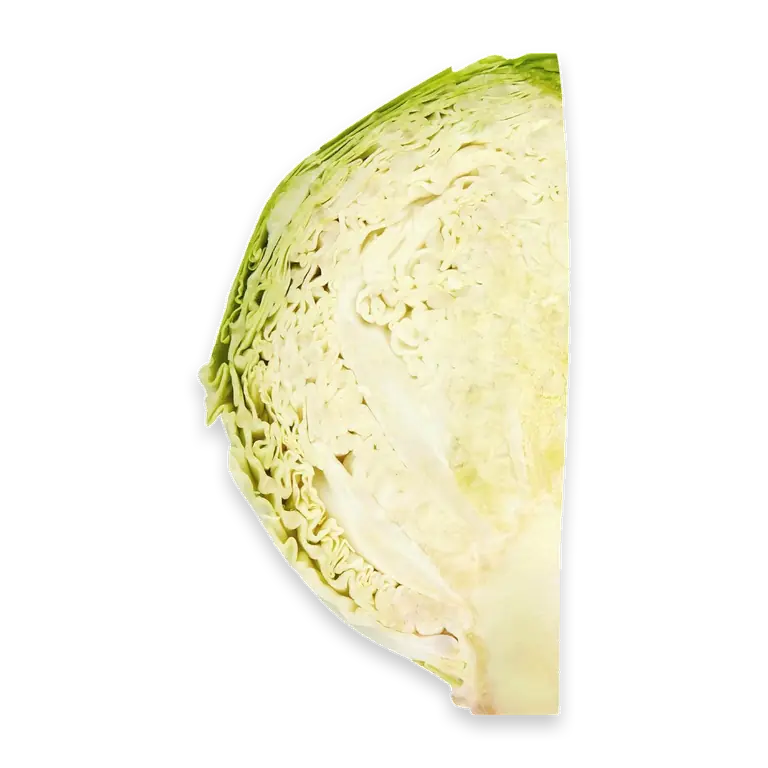 Fresh Savoy Cabbage Quarter