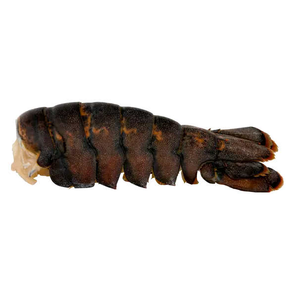 Wild Caught Canadian Cold Water Lobster Tail Frozen