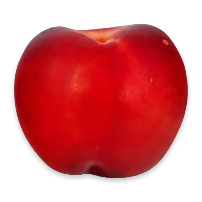 Organic Fresh White Nectarine