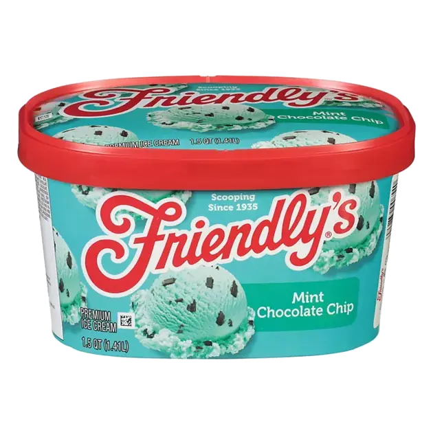 Premium Mint Chocolate Chip Ice Cream