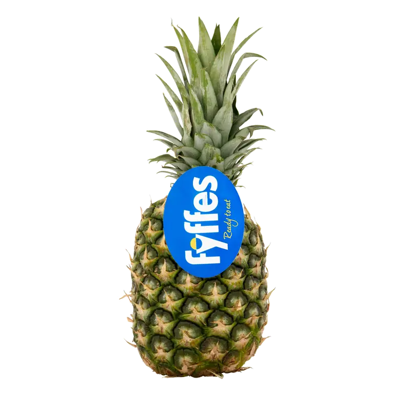 Fyffes Medium Gold Pineapple