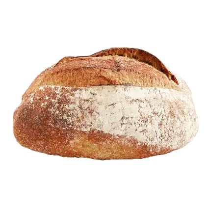 Sourdough