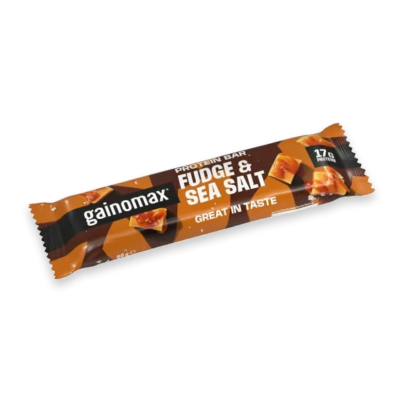 Fudge Sea Salt Proteinbar