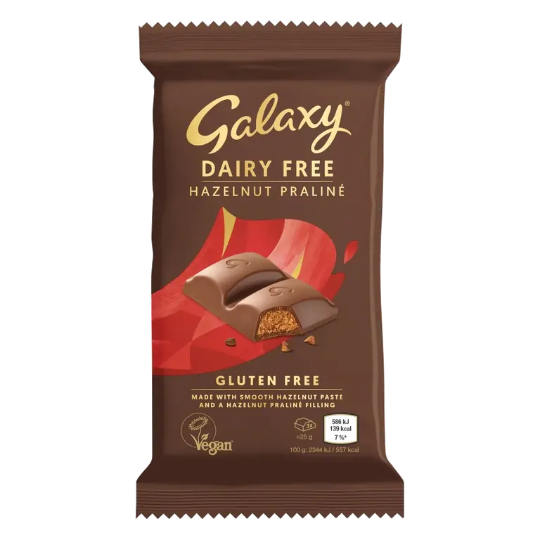 Free From Praline Chocolate 100g