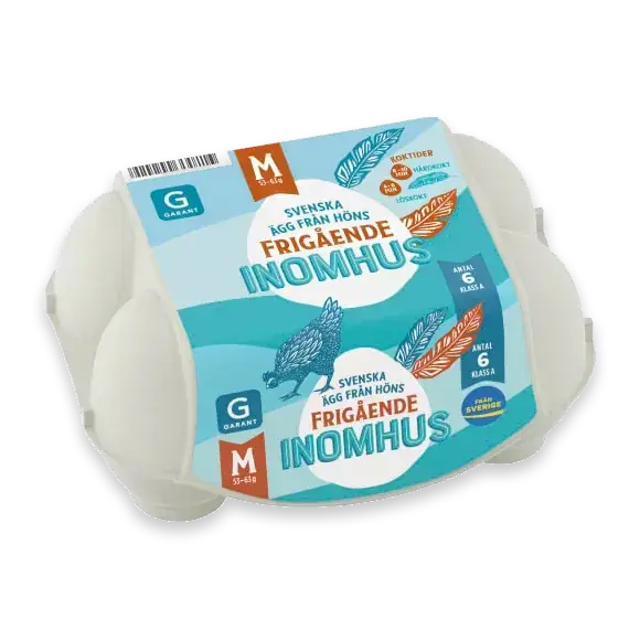 Ägg 6p Frigående Inomhus Medium
