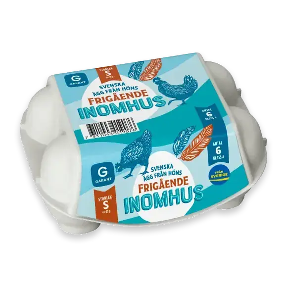 Ägg 6p Frigående Inomhus Small