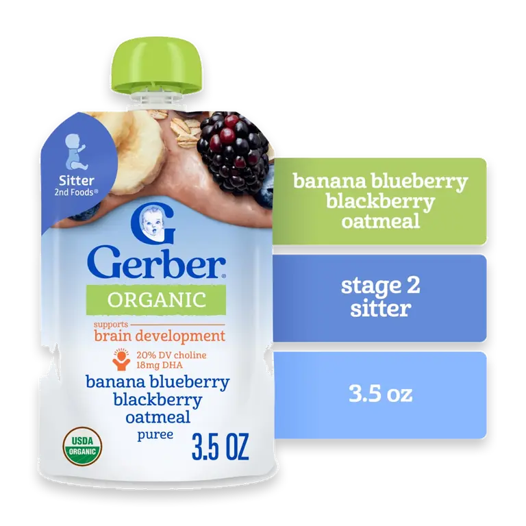2nd Foods Organic Banana Blueberry Blackberry Oatmeal Pouch