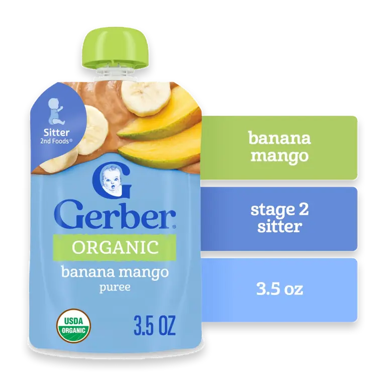 2nd Foods Organic Banana Mango Pouch
