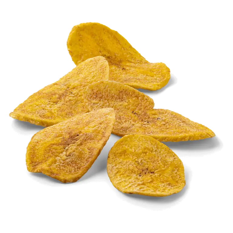 Sea Salt Plantain Chips