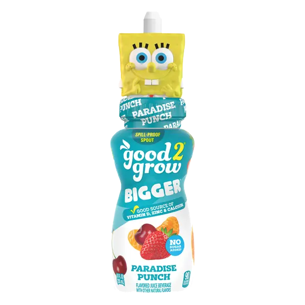 Paradise Punch Flavored Juice Beverage