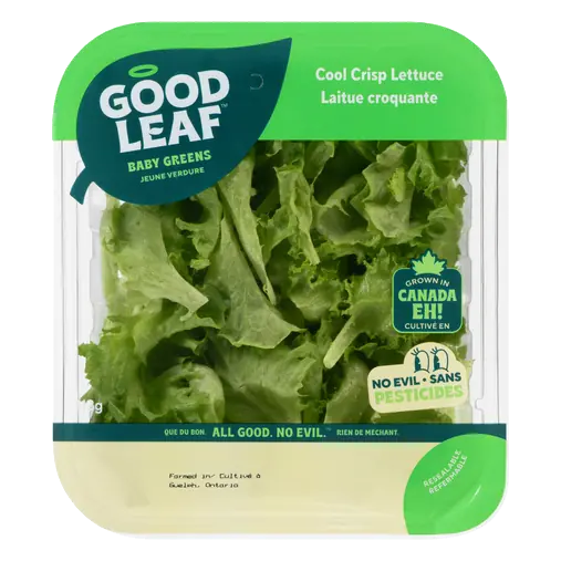 Cool Crisp Lettuce 113 g