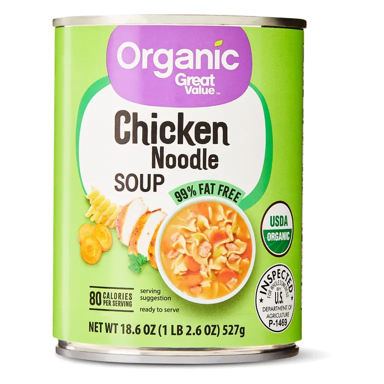 Chicken Noodle Organic Soup