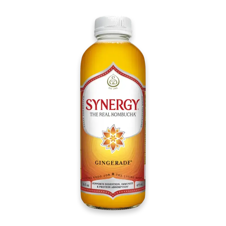 Synergy The Real Kombucha Gingerade