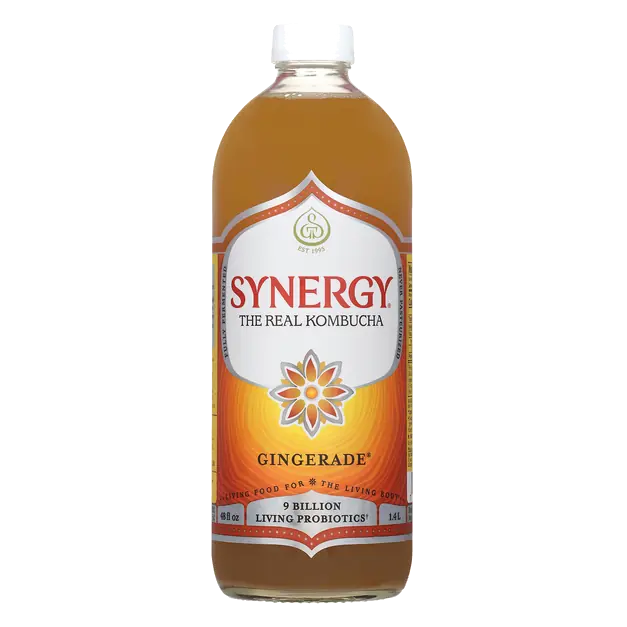 Synergy Raw Kombucha Gingerade