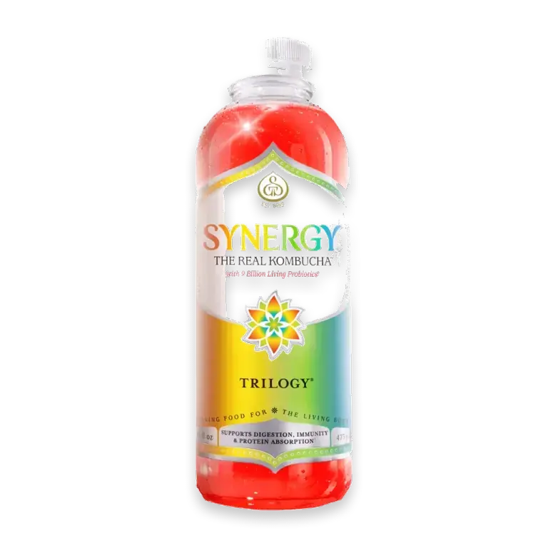 GT's Synergy Trilogy Kombucha