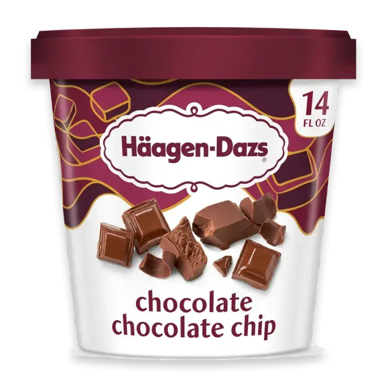 Chocolate Chocolate Chip Ice Cream, 14 Oz.