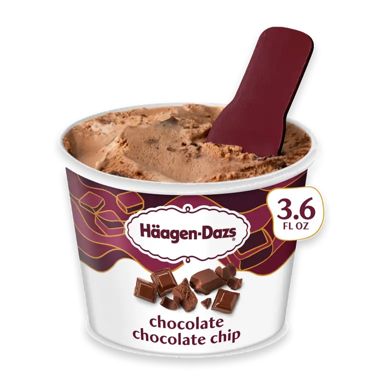 Chocolate Chocolate Chip Ice Cream Cup