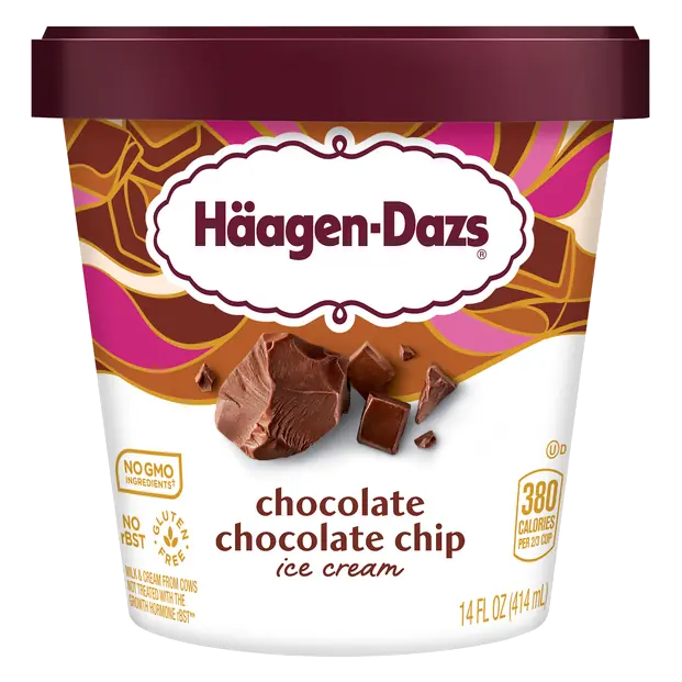 Chocolate Chocolate Chip Ice Cream