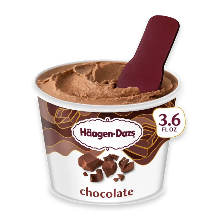 Chocolate Ice Cream Cup