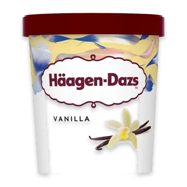 Ice Cream Vanilla Ice Cream
