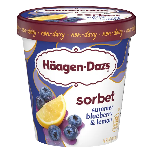 Non-Dairy Summer Blueberry & Lemon Sorbet