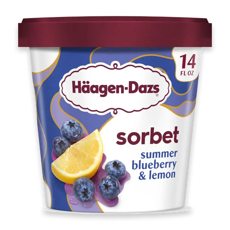 Summer Blueberry and Lemon Sorbet, 14 fl oz