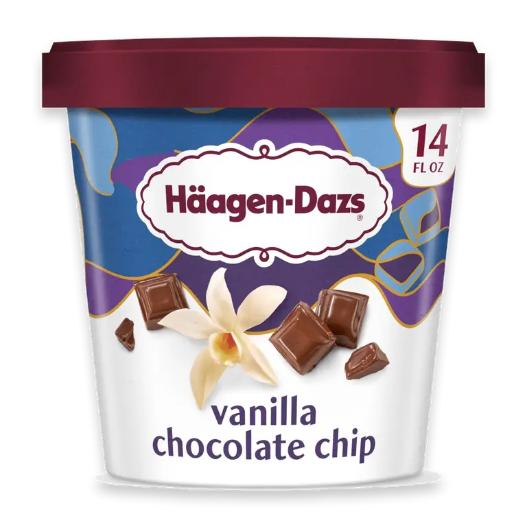 Vanilla Chocolate Chip Ice Cream, 14oz