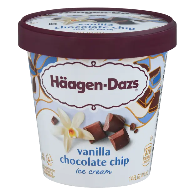 Vanilla Chocolate Chip Ice Cream