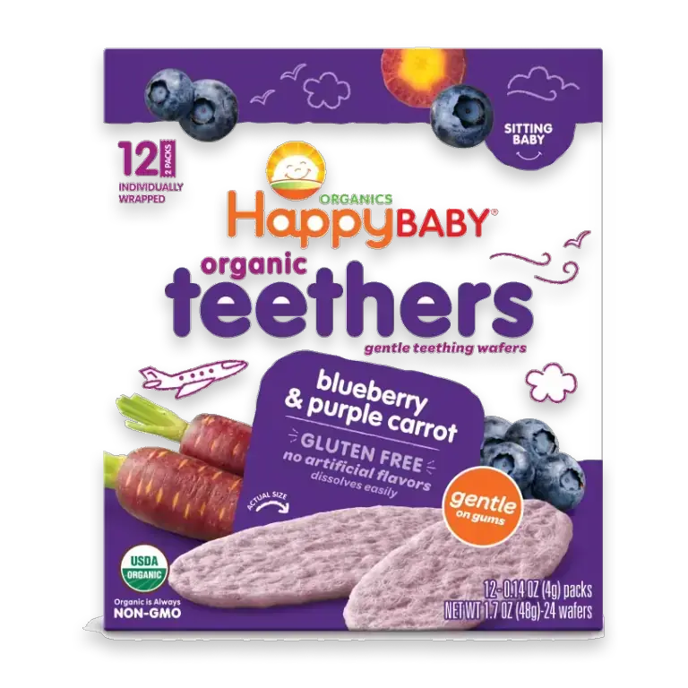 Organics Teethers Blueberry & Purple Carrot Organic Baby Snack Box