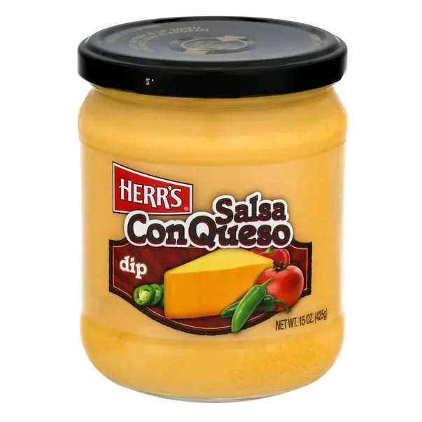 Salsa Con Queso Dip