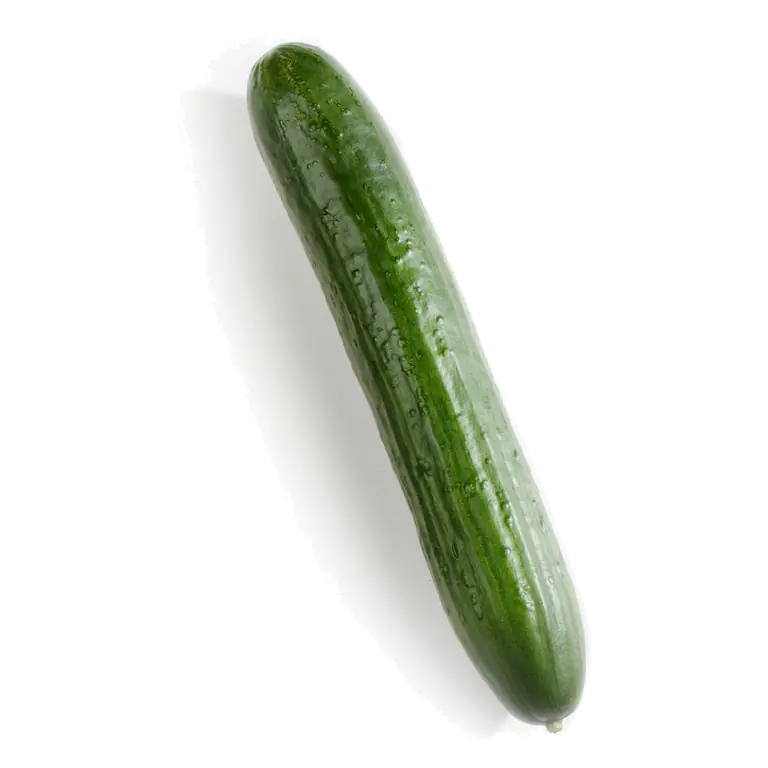English Cucumber Seedless 1 Count