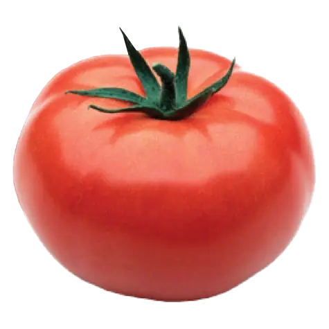 Organic Beefsteak Tomato 2 Count