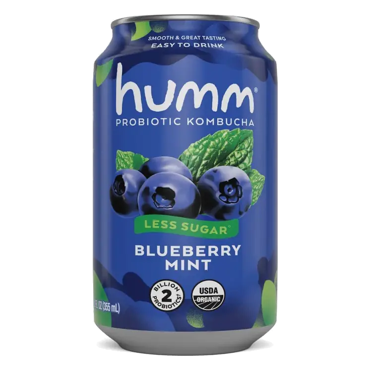 Humm Blueberry Mint Probiotic Kombucha, 12 fl oz
