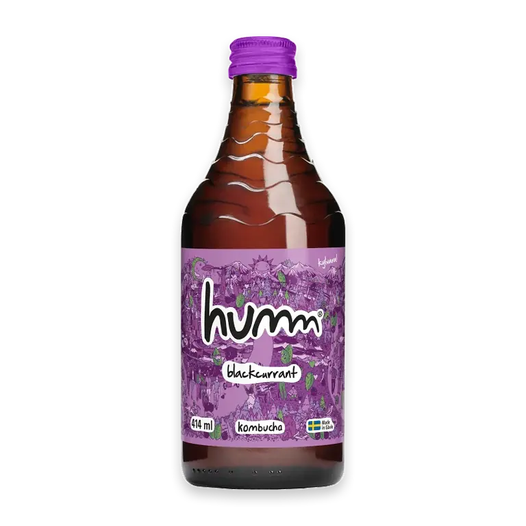 Kombucha Svartvinbär 414ml