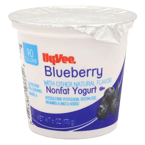Blueberry Light Nonfat Yogurt