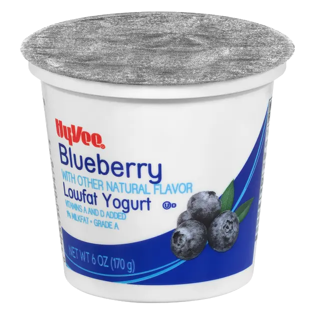 Blueberry Lowfat Yogurt