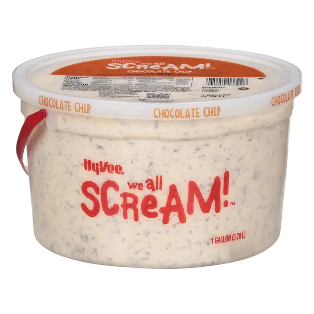 Chocolate Chip Ice Cream