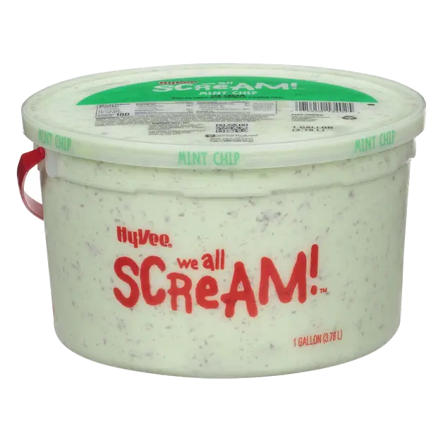 Mint Chip Ice Cream